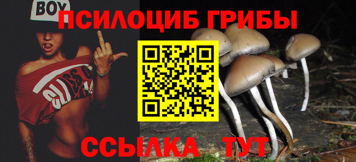 Галлюциногенные грибы MAGIC MUSHROOMS  Вход с VPN  Советск 